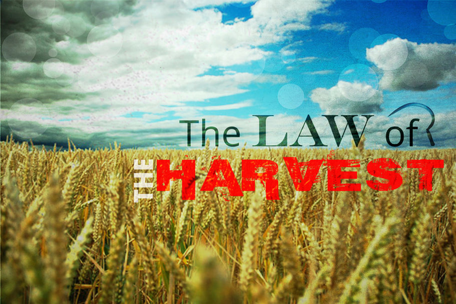 The Law of the Harvest Sermon Series